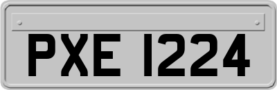 PXE1224