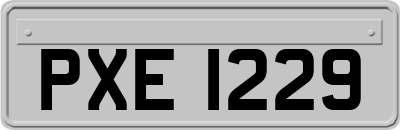 PXE1229