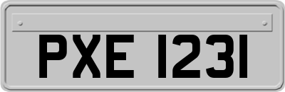 PXE1231