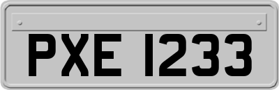 PXE1233