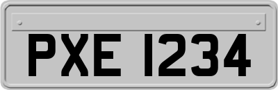 PXE1234