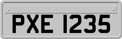 PXE1235