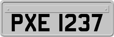 PXE1237