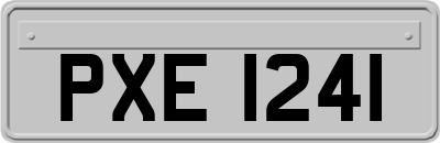 PXE1241