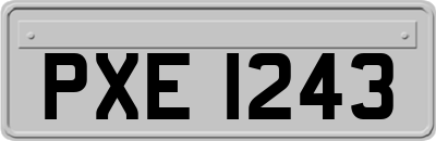 PXE1243