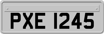 PXE1245