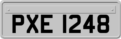 PXE1248