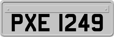 PXE1249