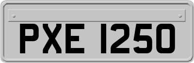 PXE1250