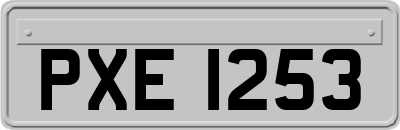 PXE1253