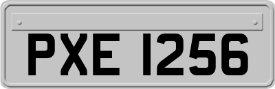 PXE1256