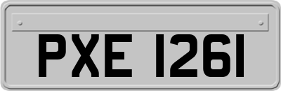 PXE1261