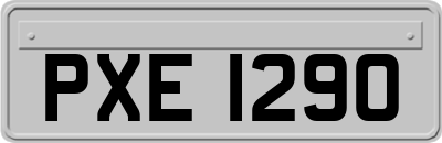 PXE1290