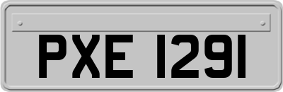 PXE1291