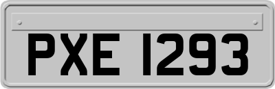 PXE1293