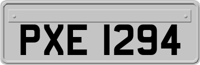PXE1294