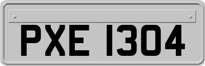 PXE1304