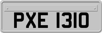 PXE1310