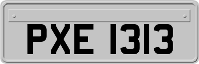 PXE1313