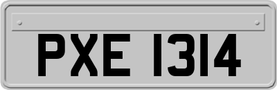 PXE1314