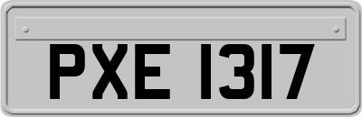 PXE1317