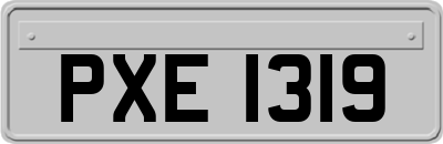 PXE1319