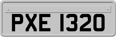 PXE1320