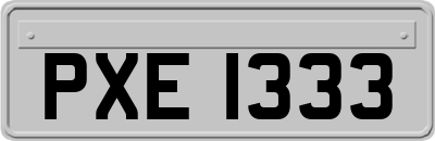 PXE1333