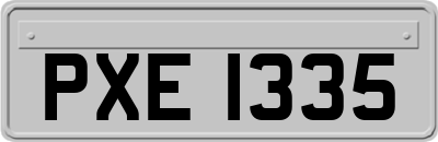 PXE1335