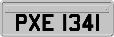 PXE1341