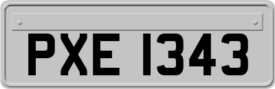 PXE1343