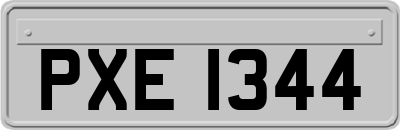 PXE1344