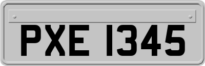 PXE1345