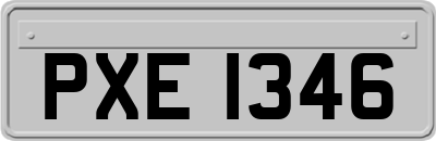 PXE1346