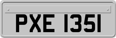 PXE1351