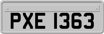 PXE1363