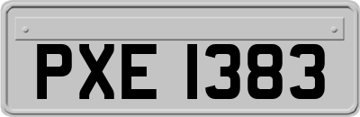 PXE1383