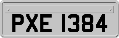 PXE1384