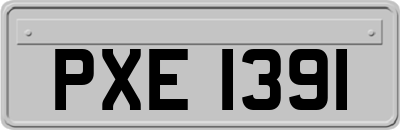 PXE1391