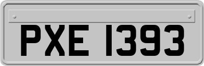 PXE1393