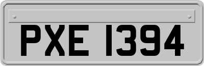 PXE1394