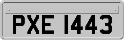 PXE1443