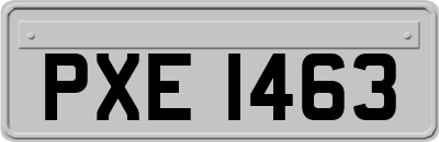 PXE1463