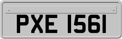 PXE1561