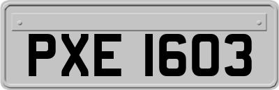 PXE1603