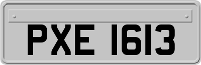 PXE1613