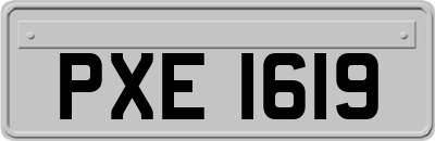 PXE1619