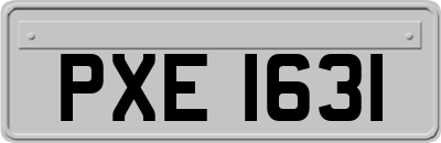 PXE1631