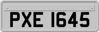 PXE1645