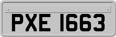 PXE1663